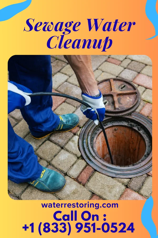 Sewage Water Cleanup in Concrete, WA